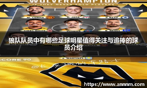 狼队队员中有哪些足球明星值得关注与追捧的球员介绍